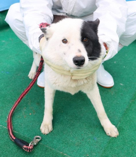 제주 동물보호센터_450650202500762
